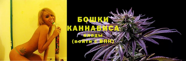 2c-b Козельск